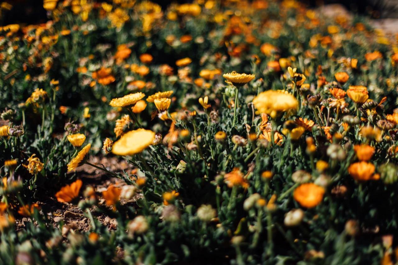 Ecolodge La Estancia Comunidad Yumani エクステリア 写真