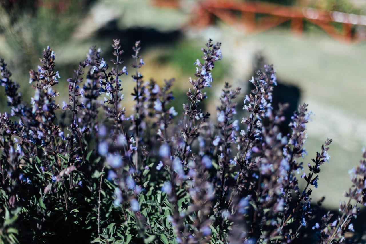 Ecolodge La Estancia Comunidad Yumani エクステリア 写真